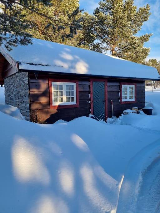 Koslig Ved Grimsdalen Hébergement de vacances